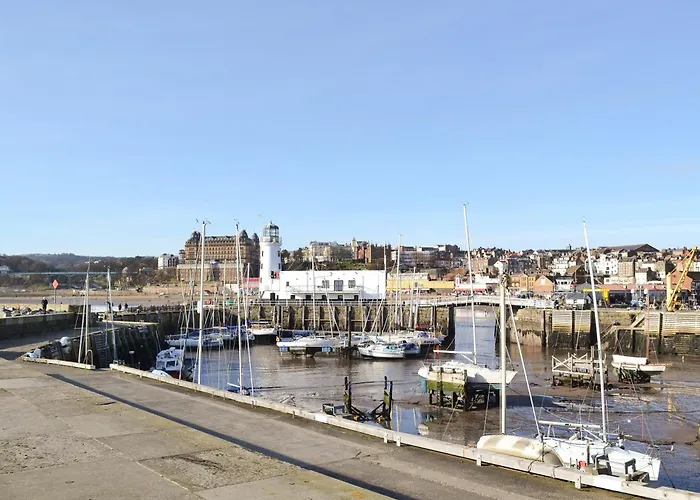 Signals Court * سكرابورو