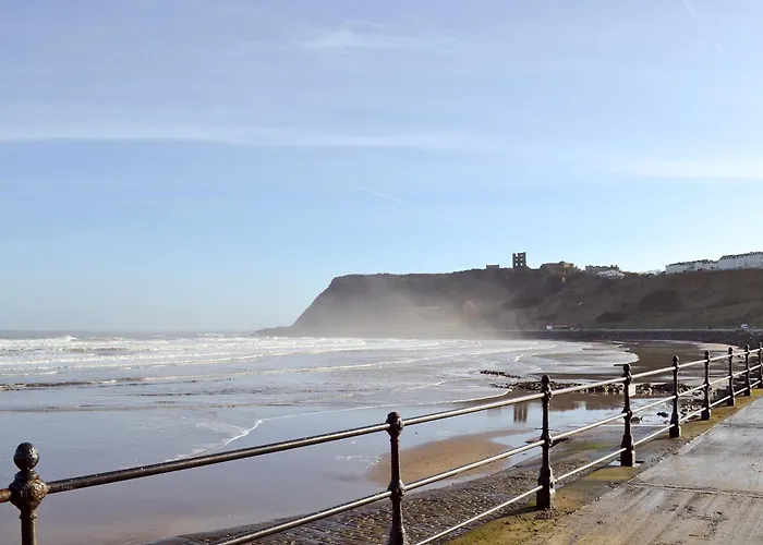 Signals Court * سكرابورو